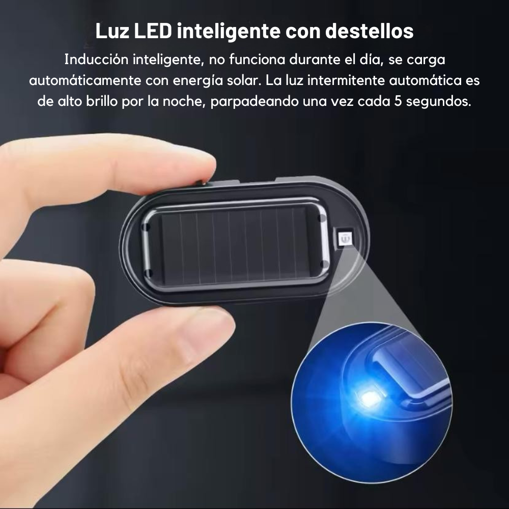 Dispositivo Interno de Remoción de Nieve