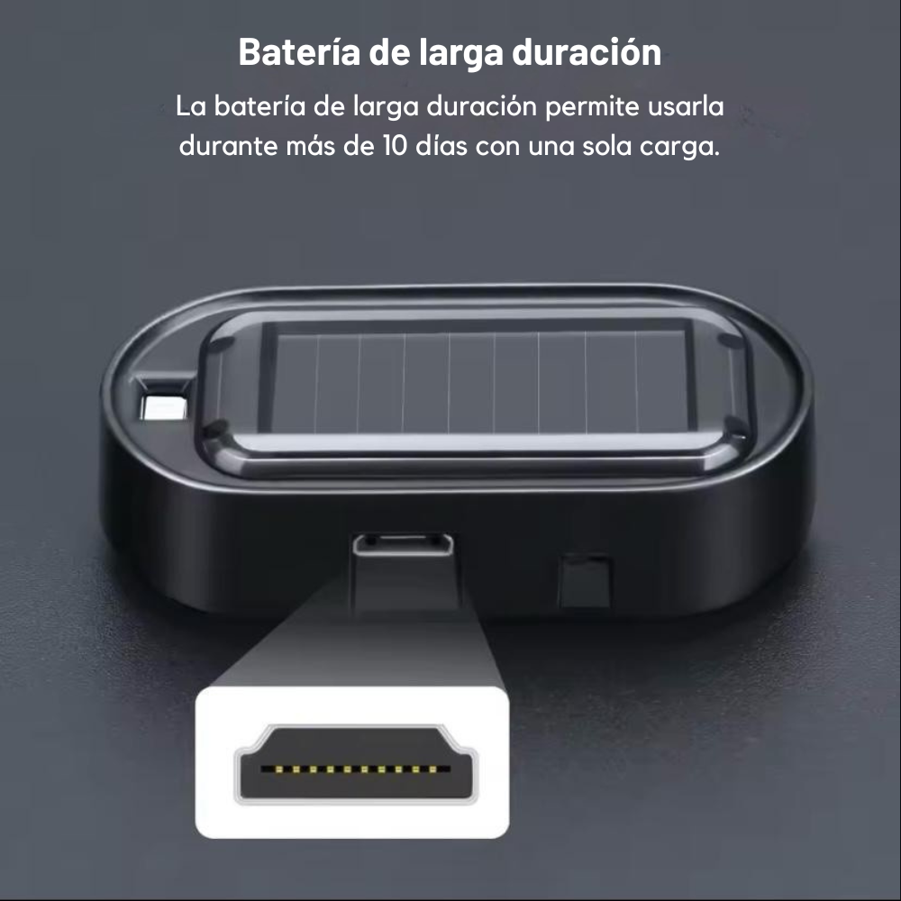 Dispositivo Interno de Remoción de Nieve